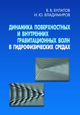 Динамика поверхностных и внутренних гравитационных волн в гидрофизических средах Монография посвящена систематическому изложению фундаментальных проблем волновой динамики природных сильно-неоднородных гидрофизических сред (океан, атмосфера Земли). В книге исследованы основные математические модели, описывающие процессы возбуждения и распространения внутренних и поверхностных гравитационных волновых пакетов