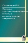 Растровые пространственно-временные сигналы в системах анализа изображений