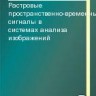 Растровые пространственно-временные сигналы в системах анализа изображений