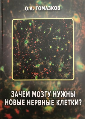 Зачем мозгу нужны новые нервные клетки? Номография профессора О.А. Гомазкова, известного специалиста в области биохимии и физиологии регуляторных систем, представляет новую концепцию формирования нервных клеток в зрелом мозге.