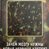 Зачем мозгу нужны новые нервные клетки?